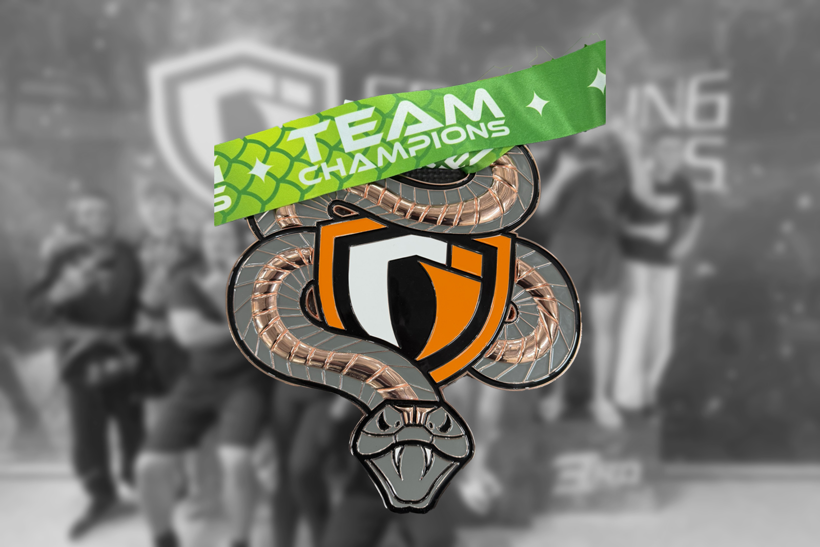 Bronzefarbene Team-Champions-Medaille von Grappling Industries mit Schlangenmotiv und grünem Band, im Hintergrund unscharf das GYMRAY-Team